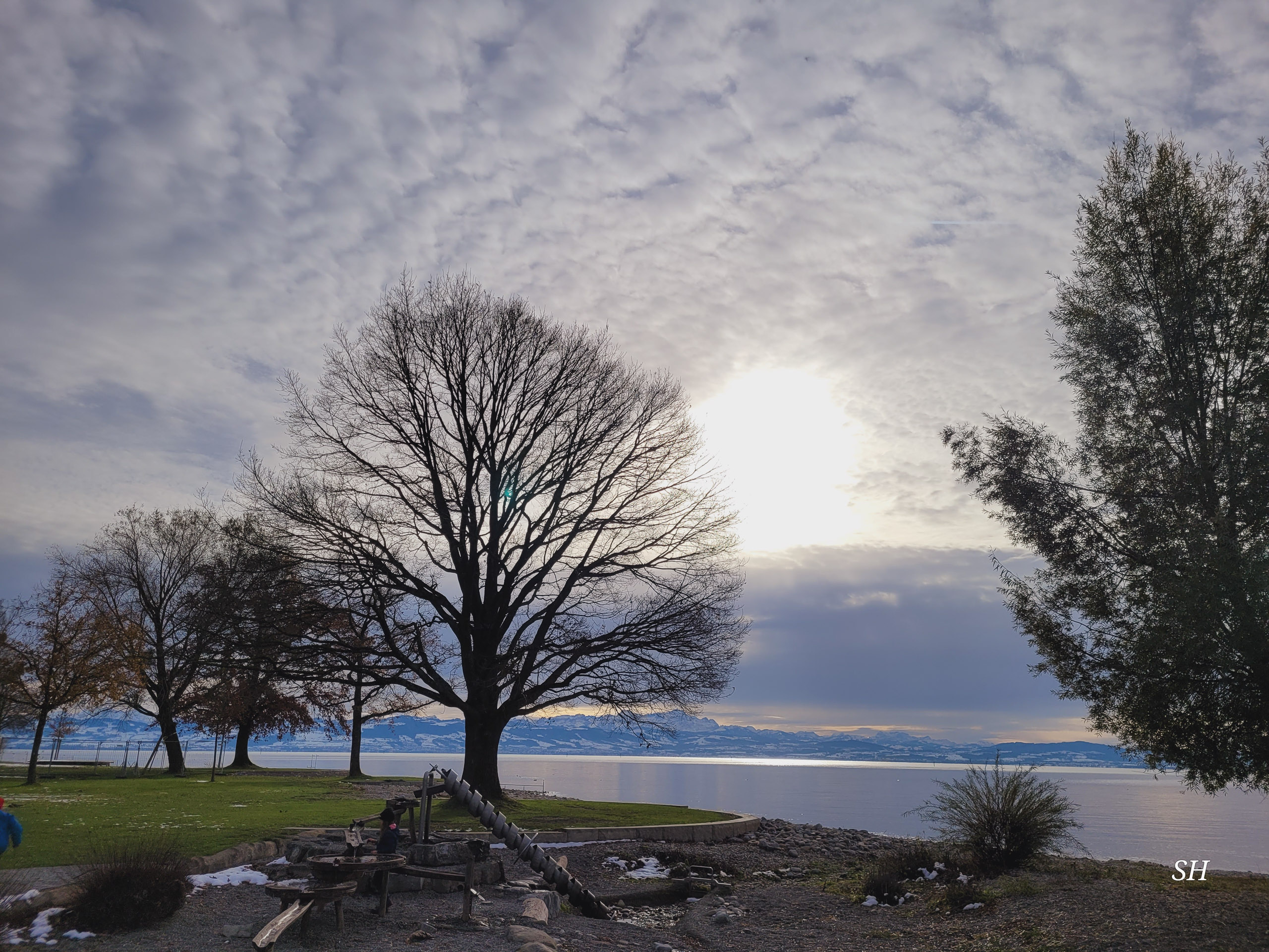 20241123134156 20241123 134156