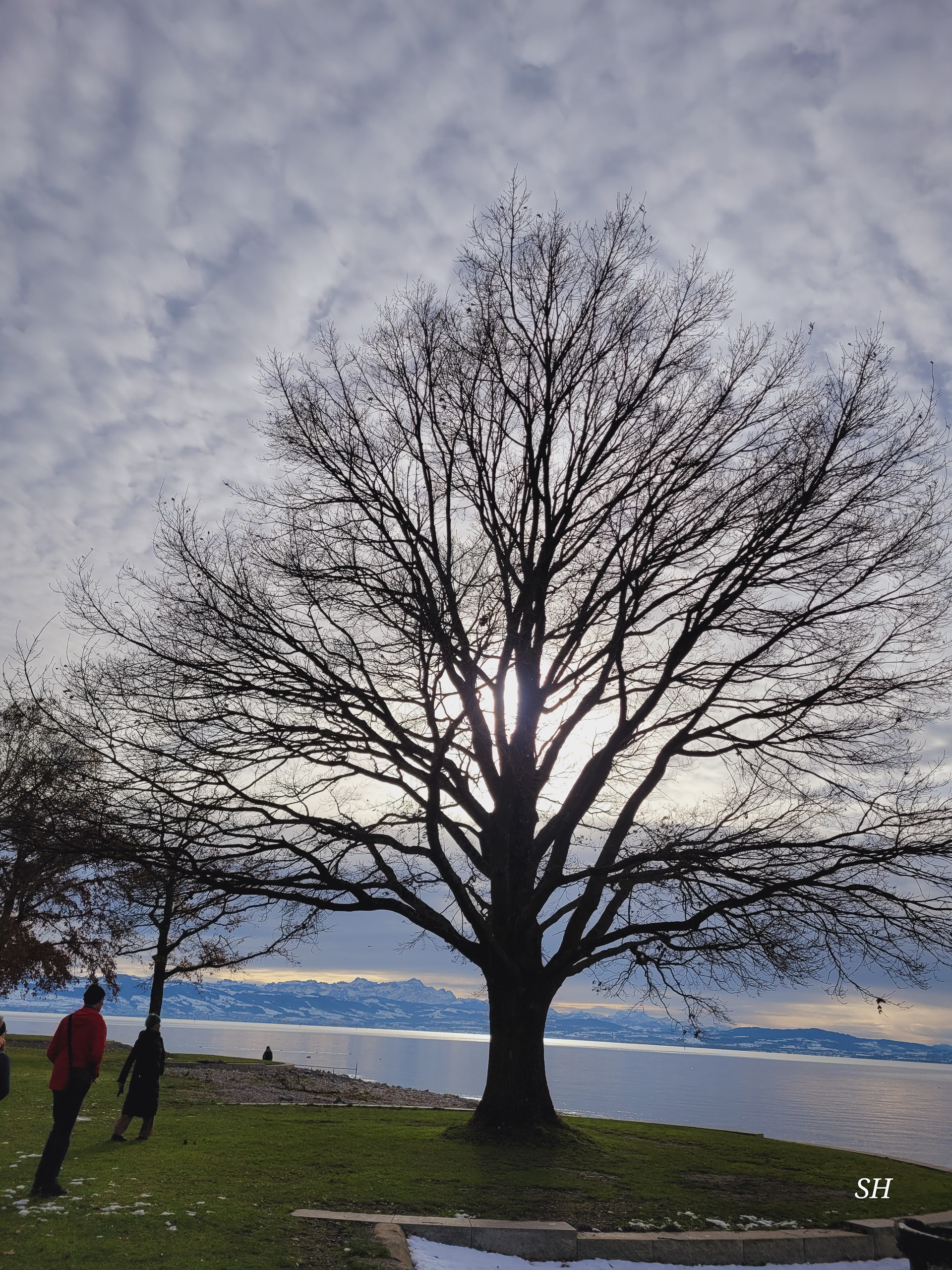 20241123134222 20241123 134222