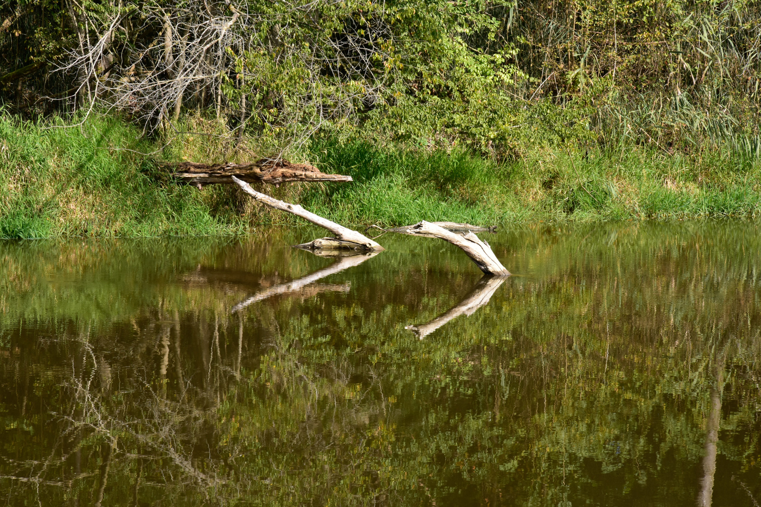 20251003145843 AnOA250561