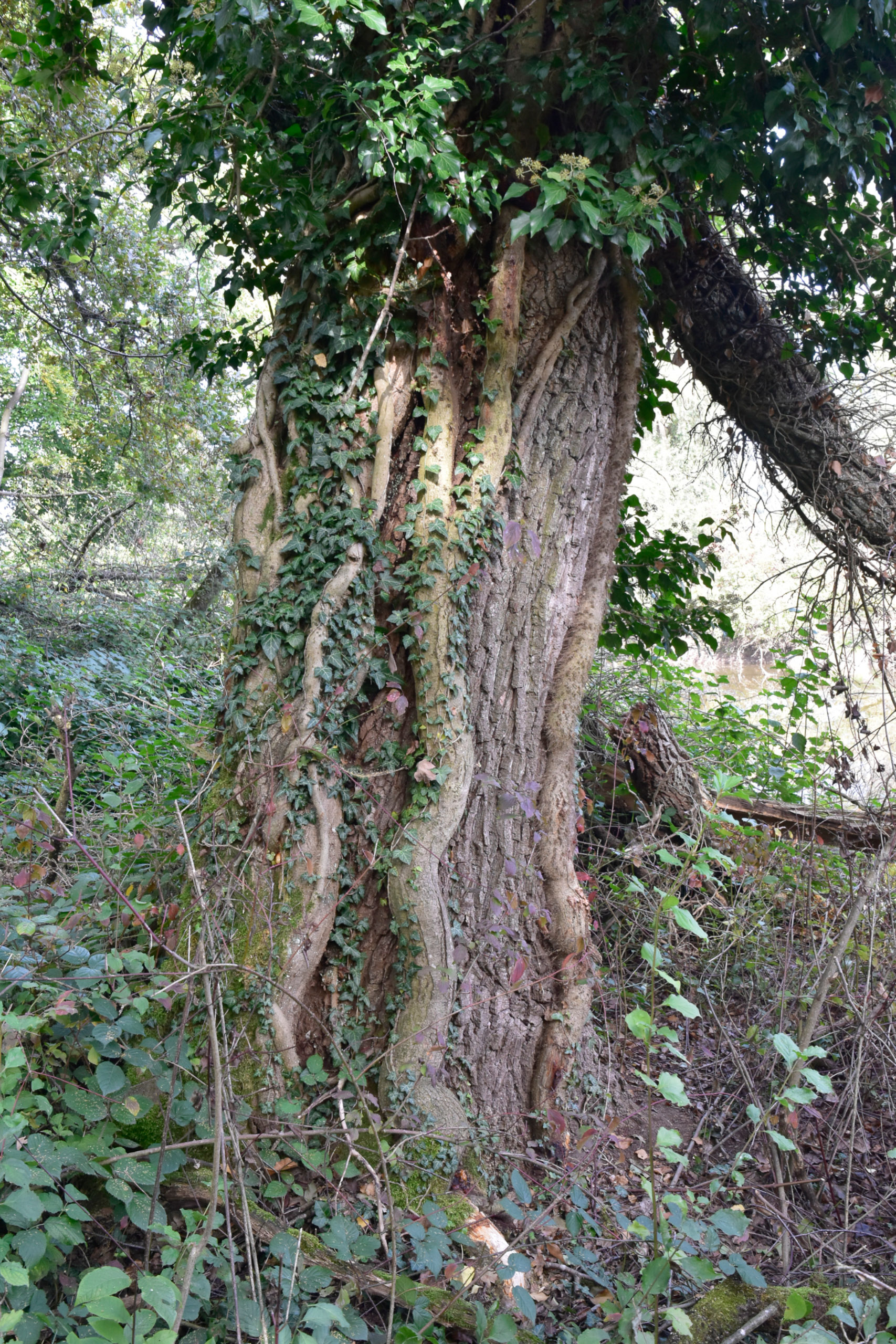 20251003150713 AnOA250588