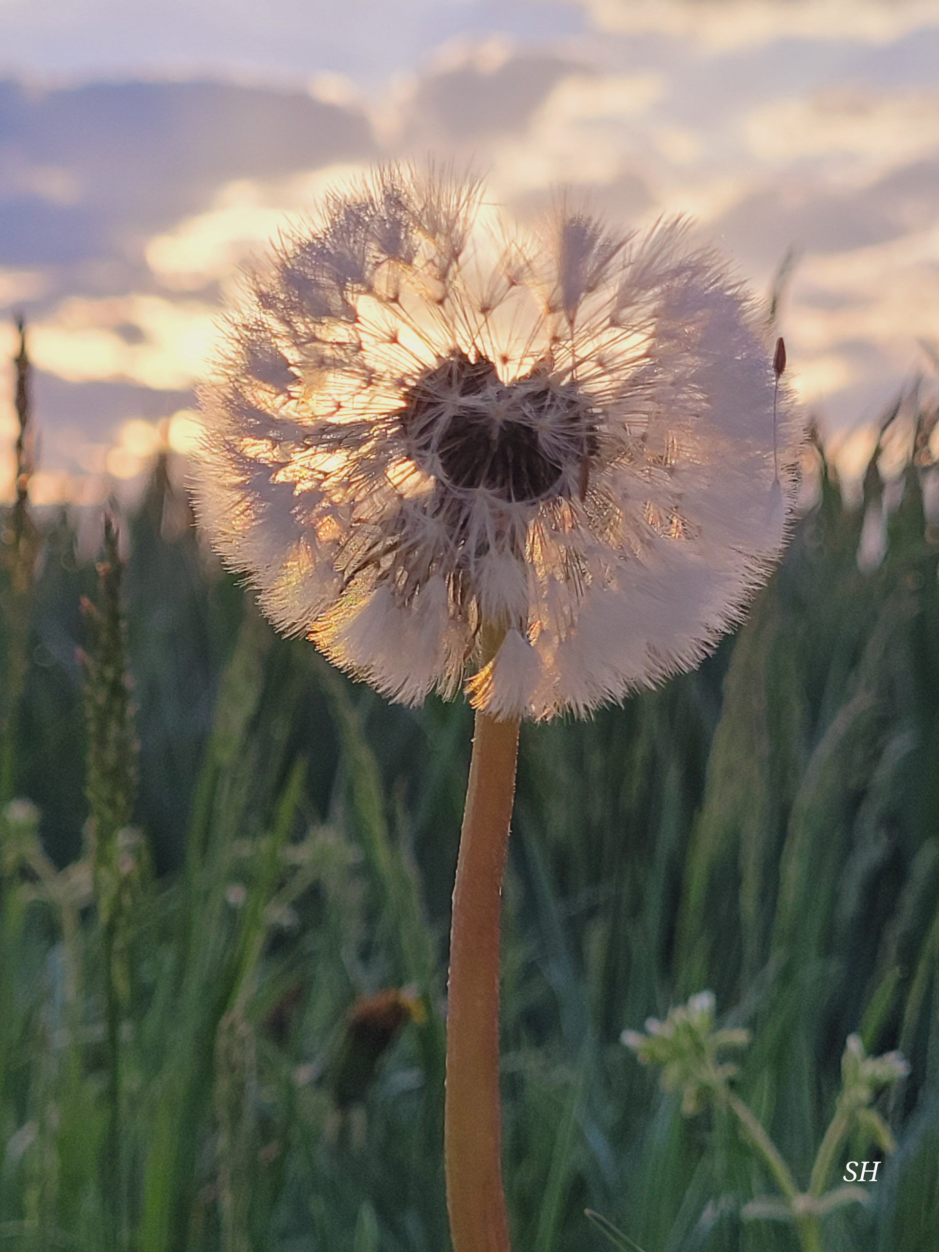 Kleingruppentreffen 2026