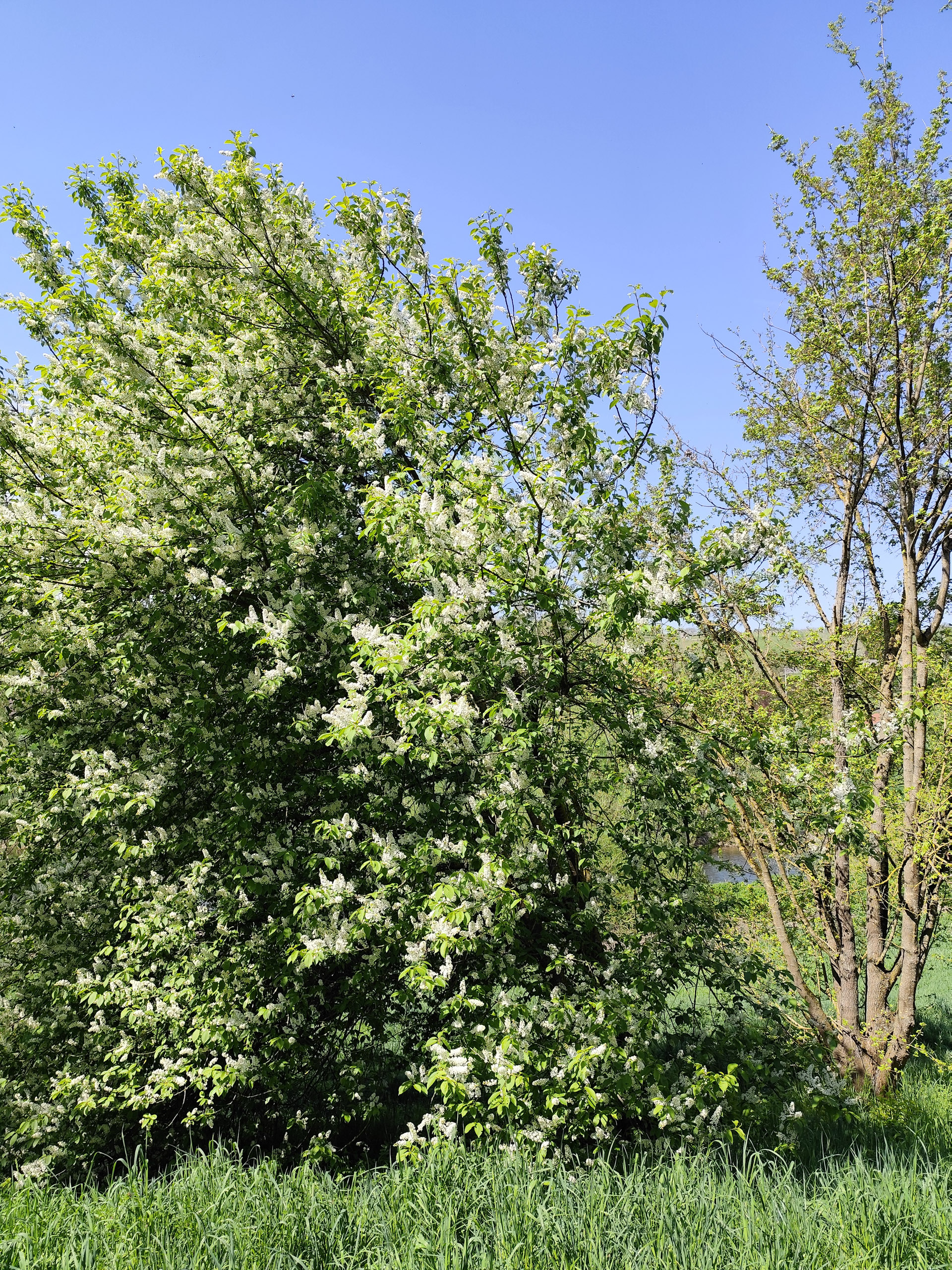 20260418 120454  001