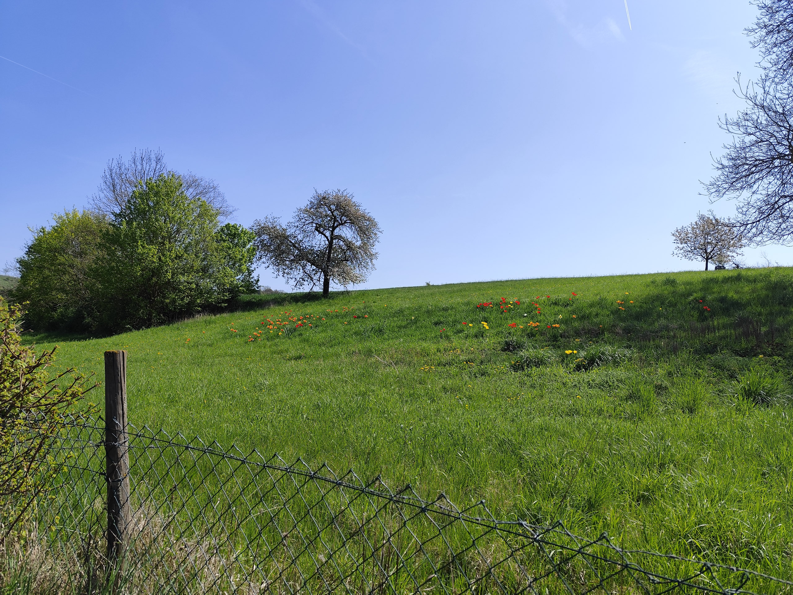 20260418 120918  002