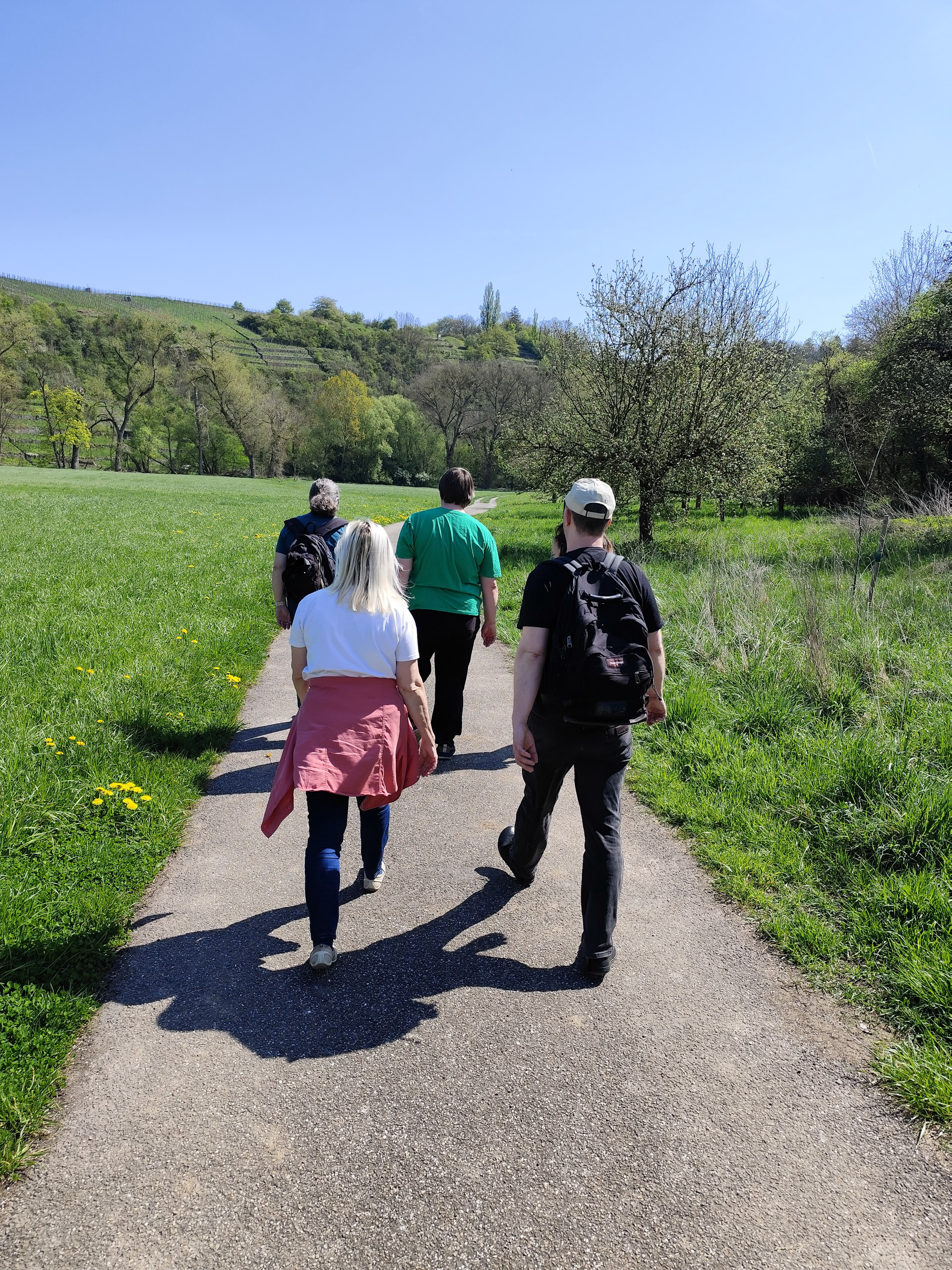 20260418 121358  003