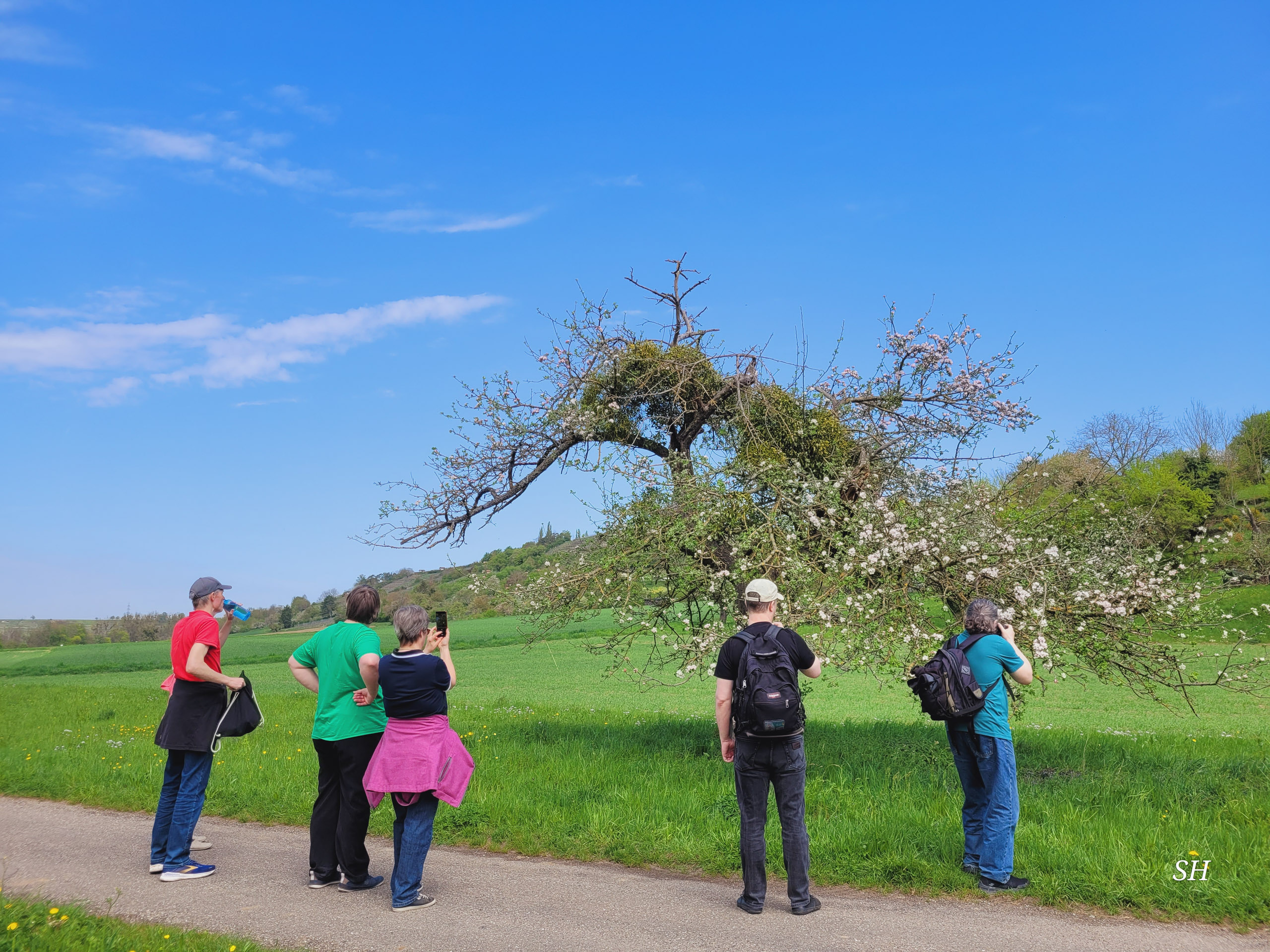 20260418 124353  007