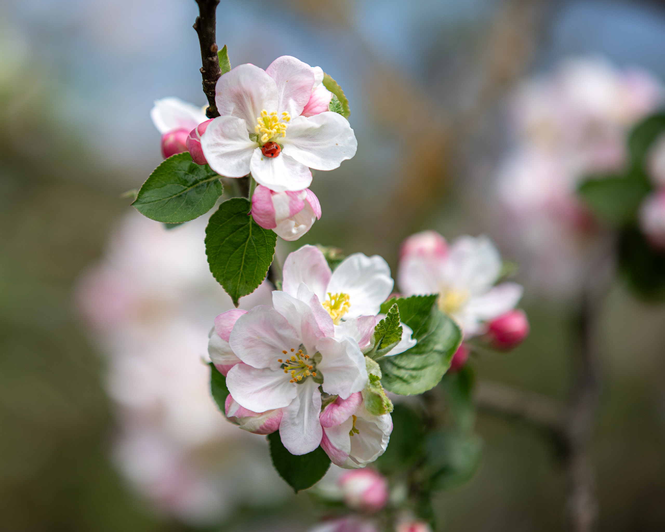 20260418 124406 RD4 9148 2