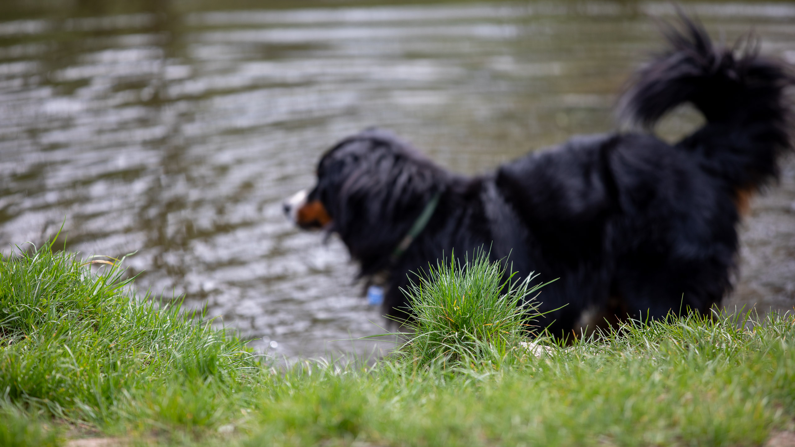 20260418 125920 RD4 9165