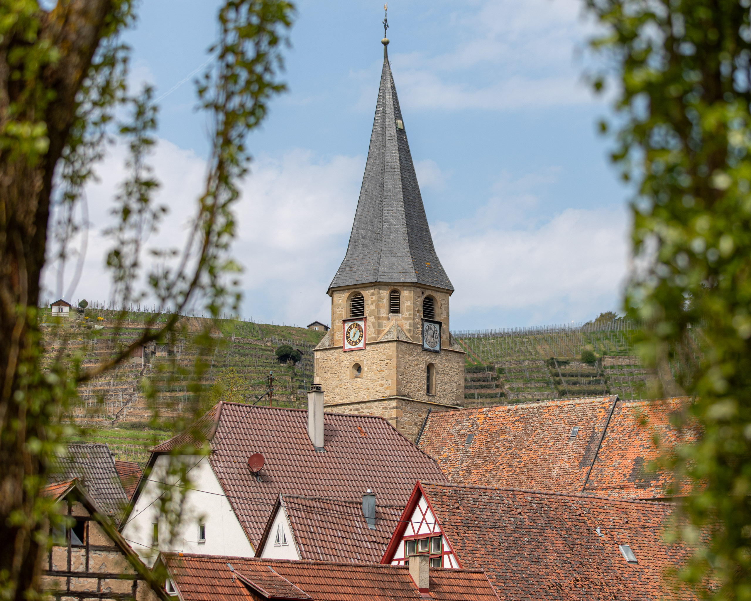 20260418 130129 RD4 9166