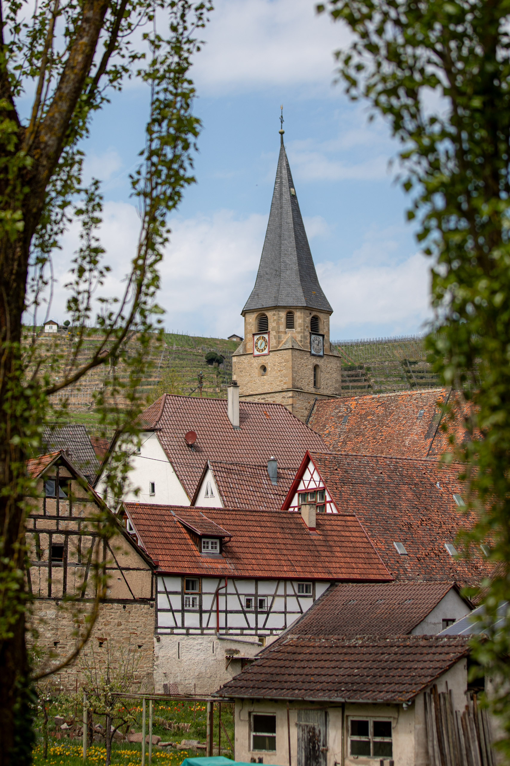 20260418 130134 RD4 9167