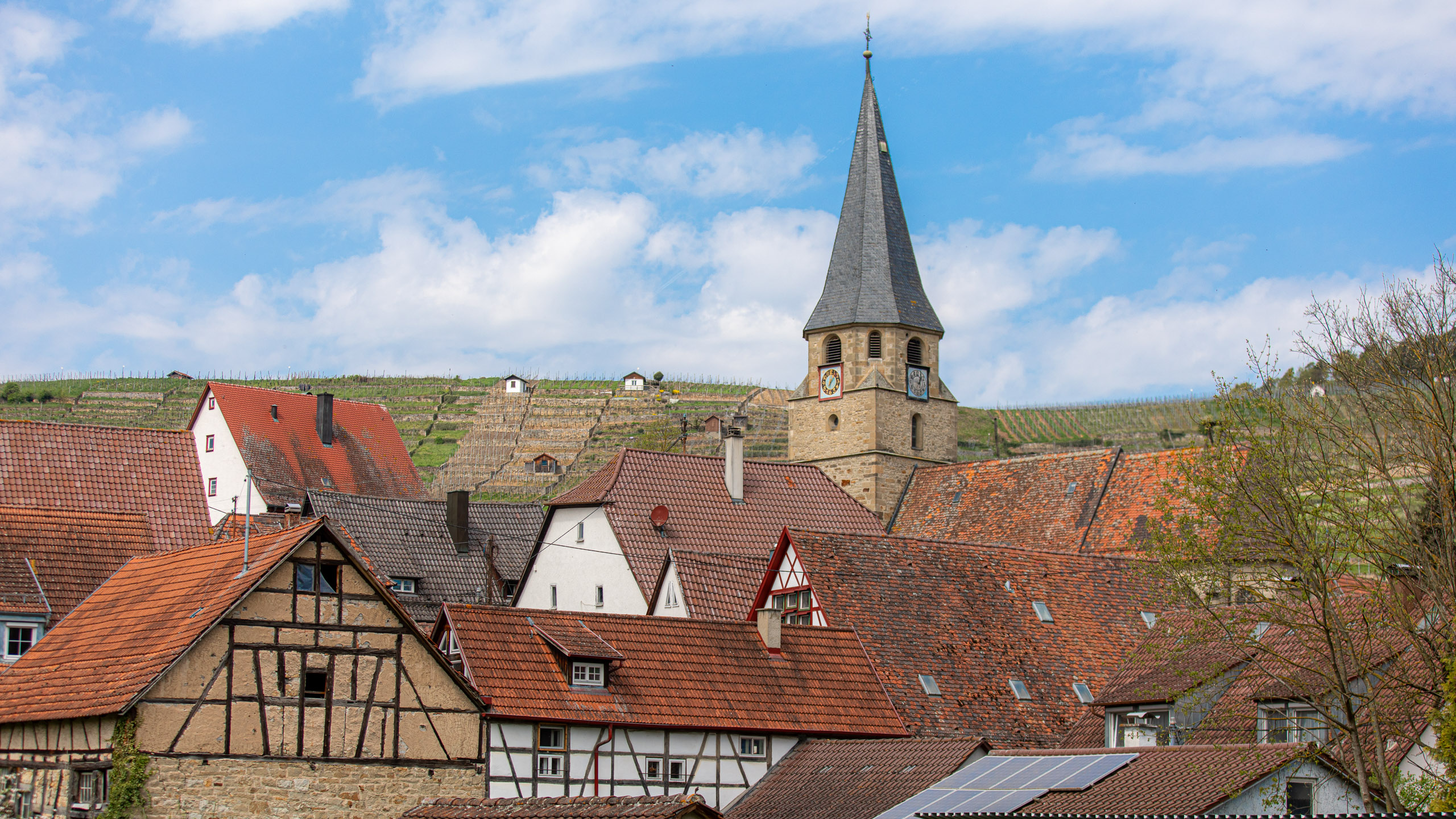 20260418 130153 RD4 9170