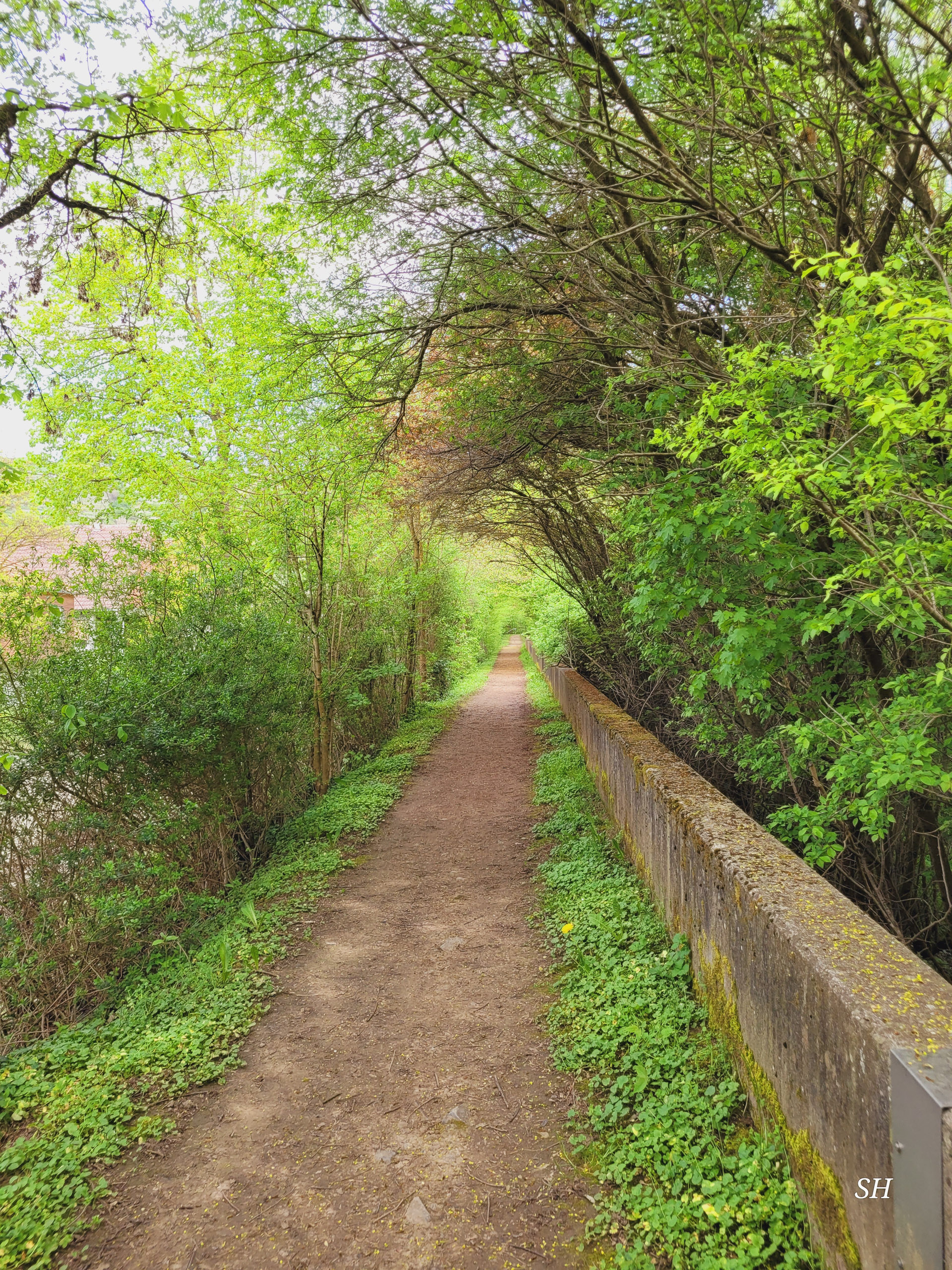 20260418 130156  008