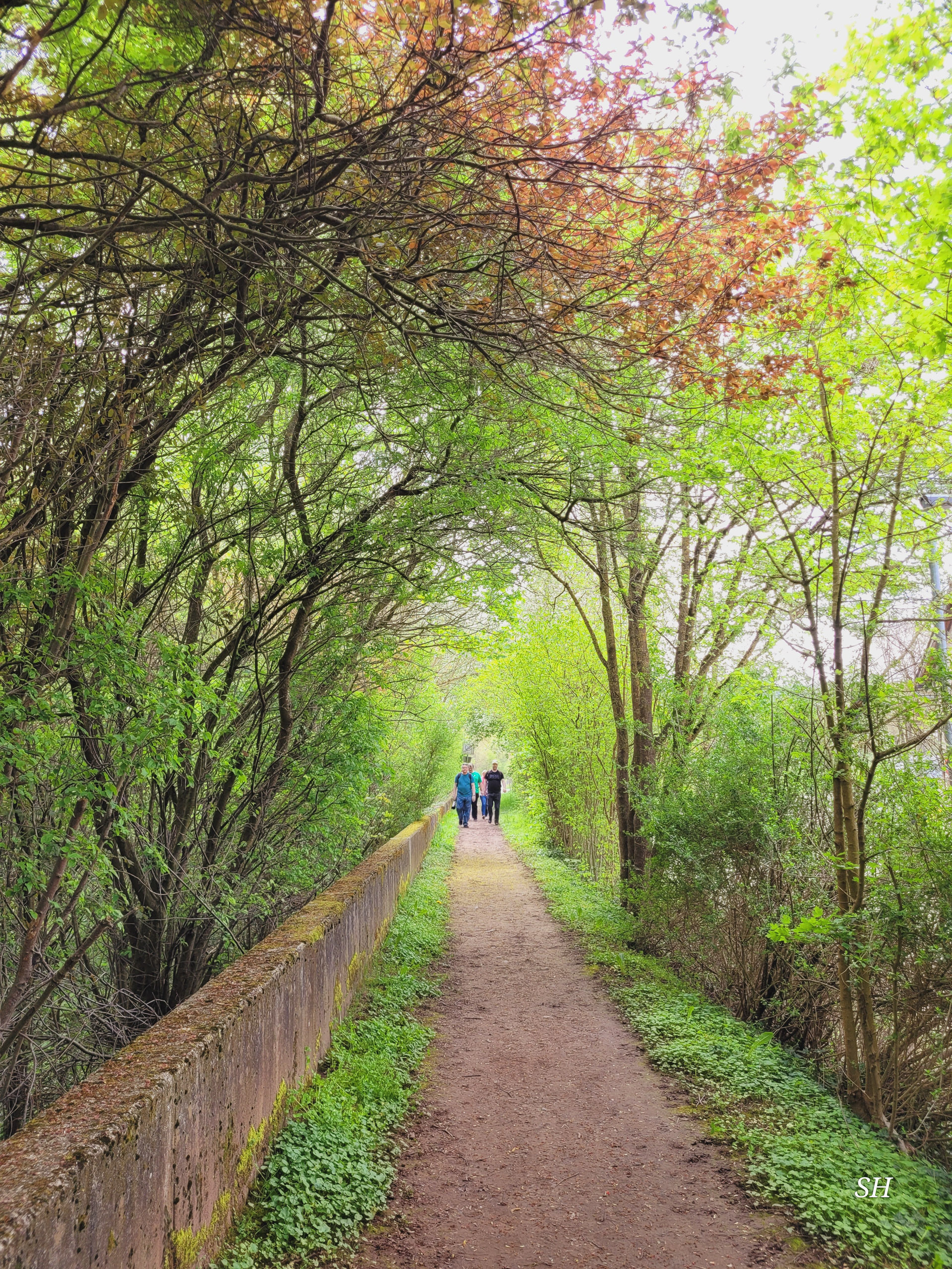 20260418 130212  009