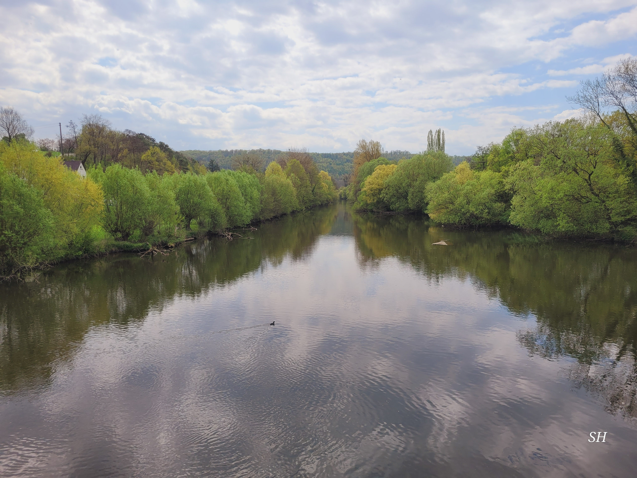 20260418 130541  012