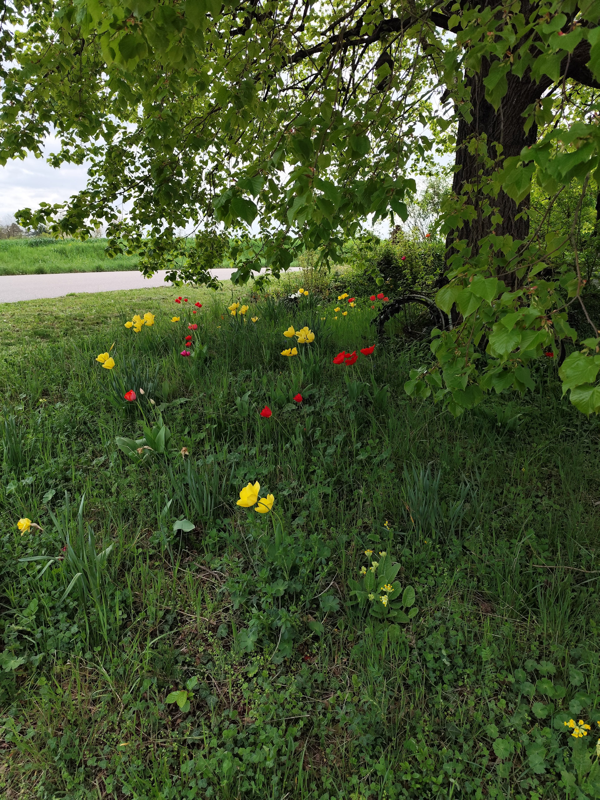 20260418 130815  008