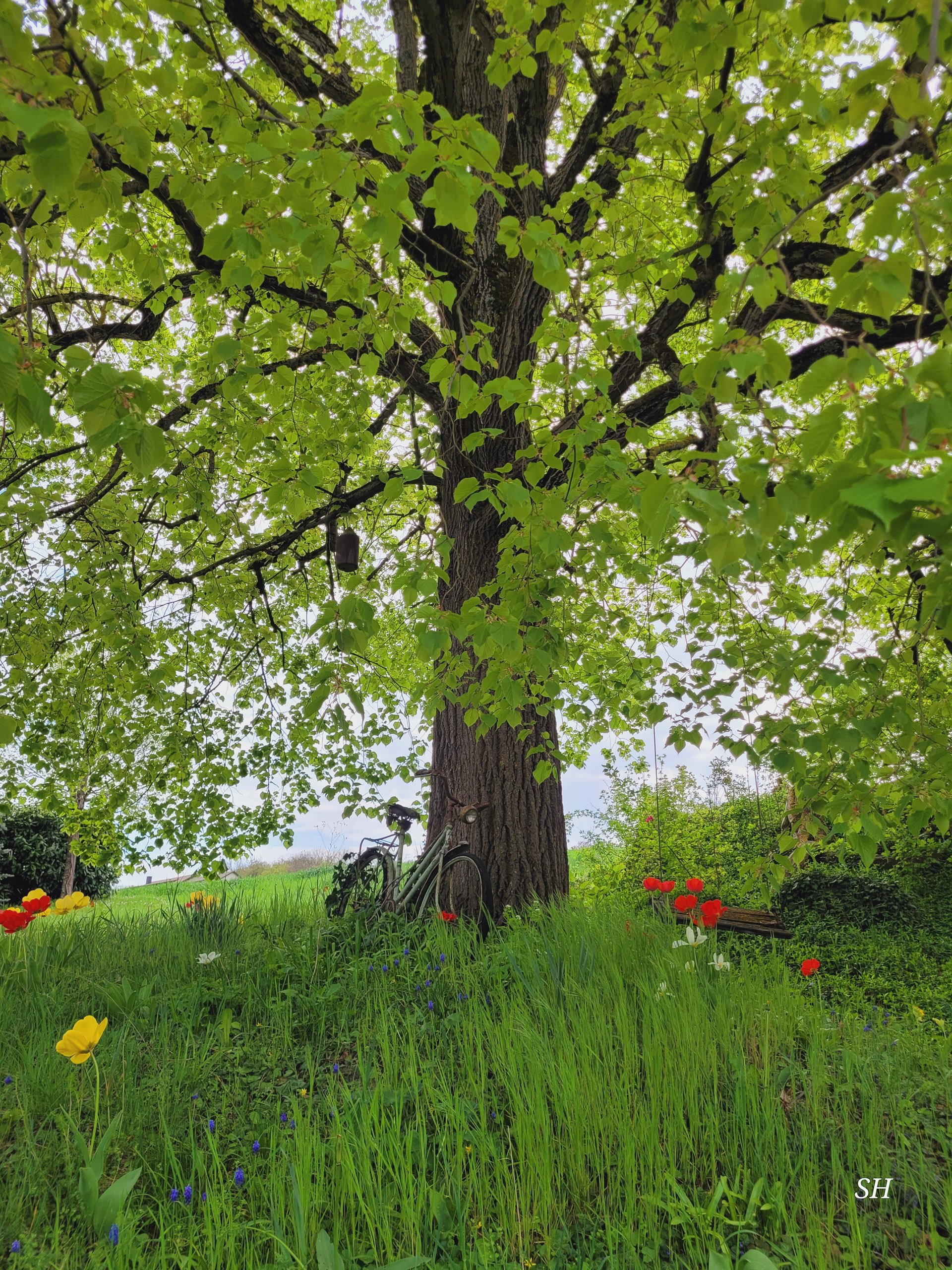 20260418 130818  014