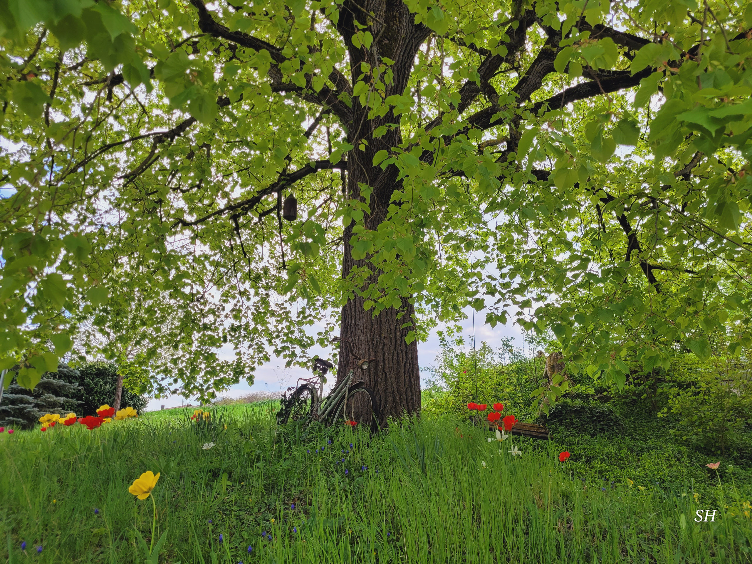 20260418 130823  015