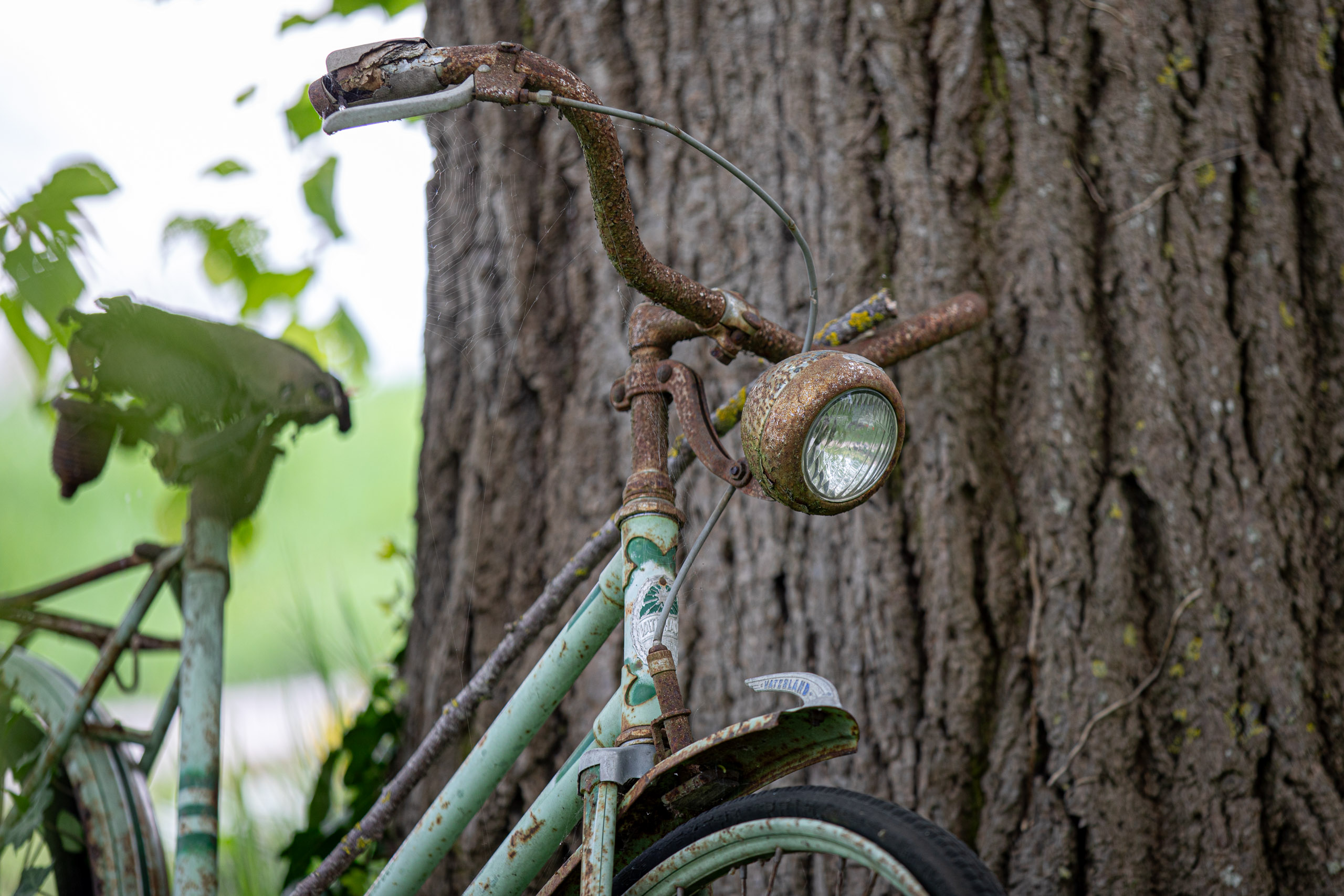 20260418 130841 RD4 9217