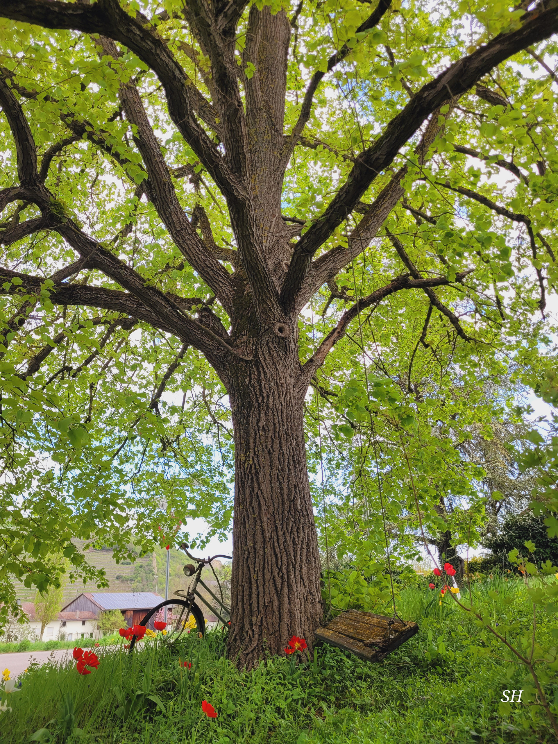 20260418 130909  016