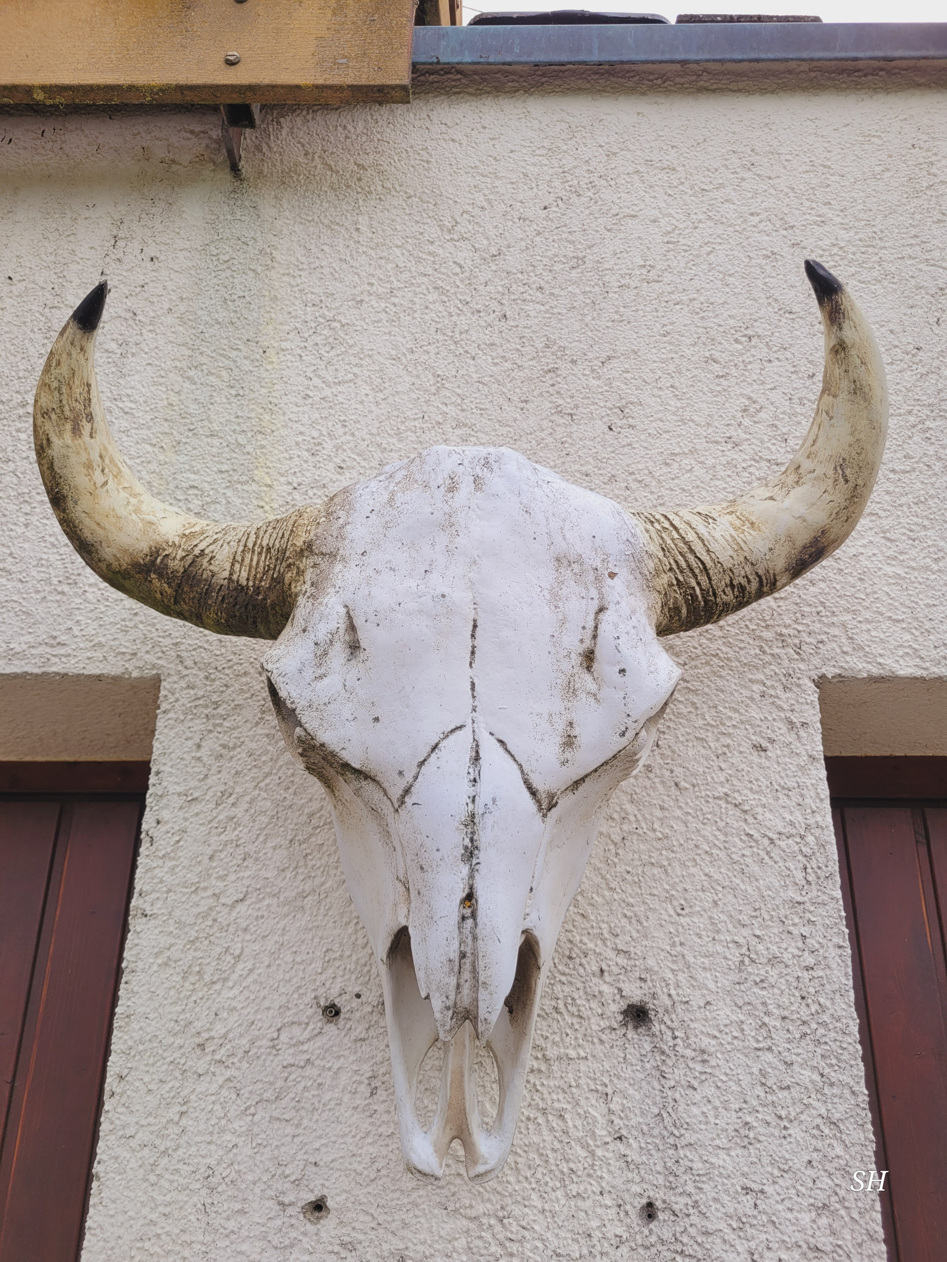 20260418 131027  017