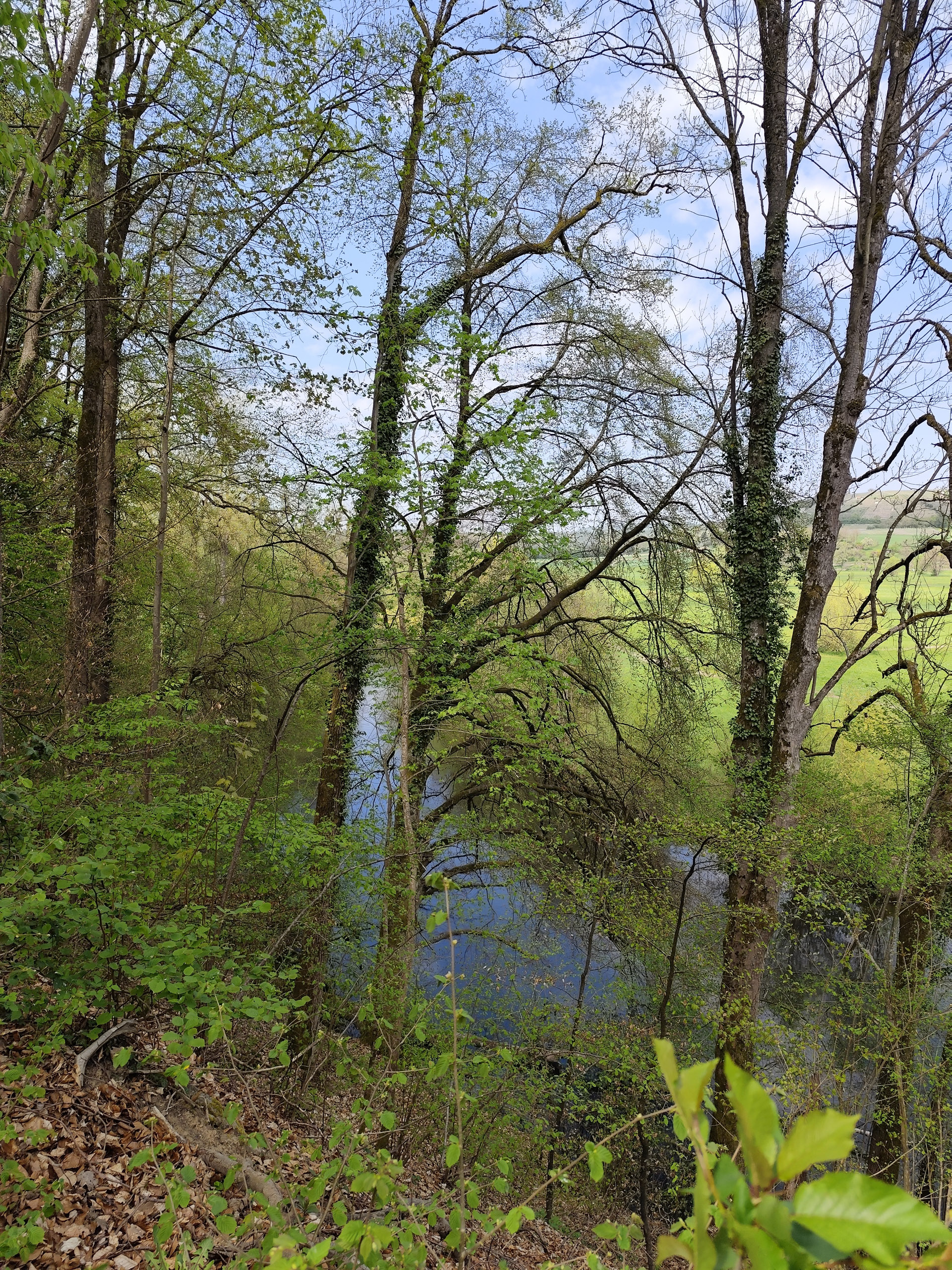 20260418 133224  009