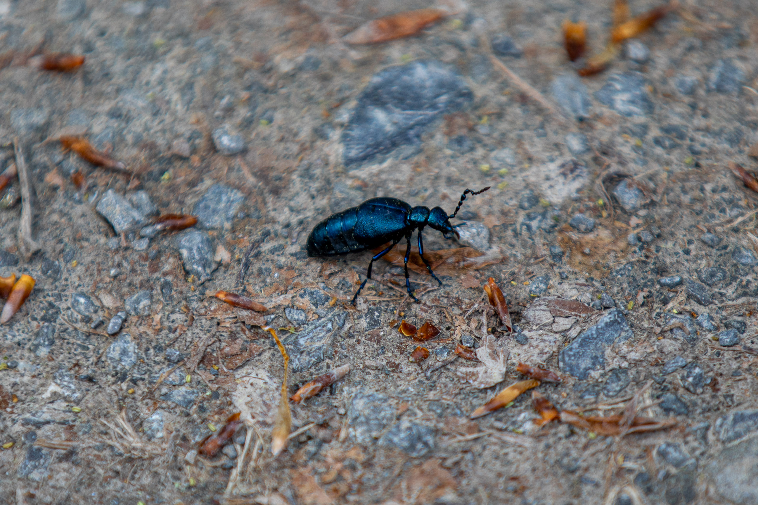 20260418 133440 RD4 9230