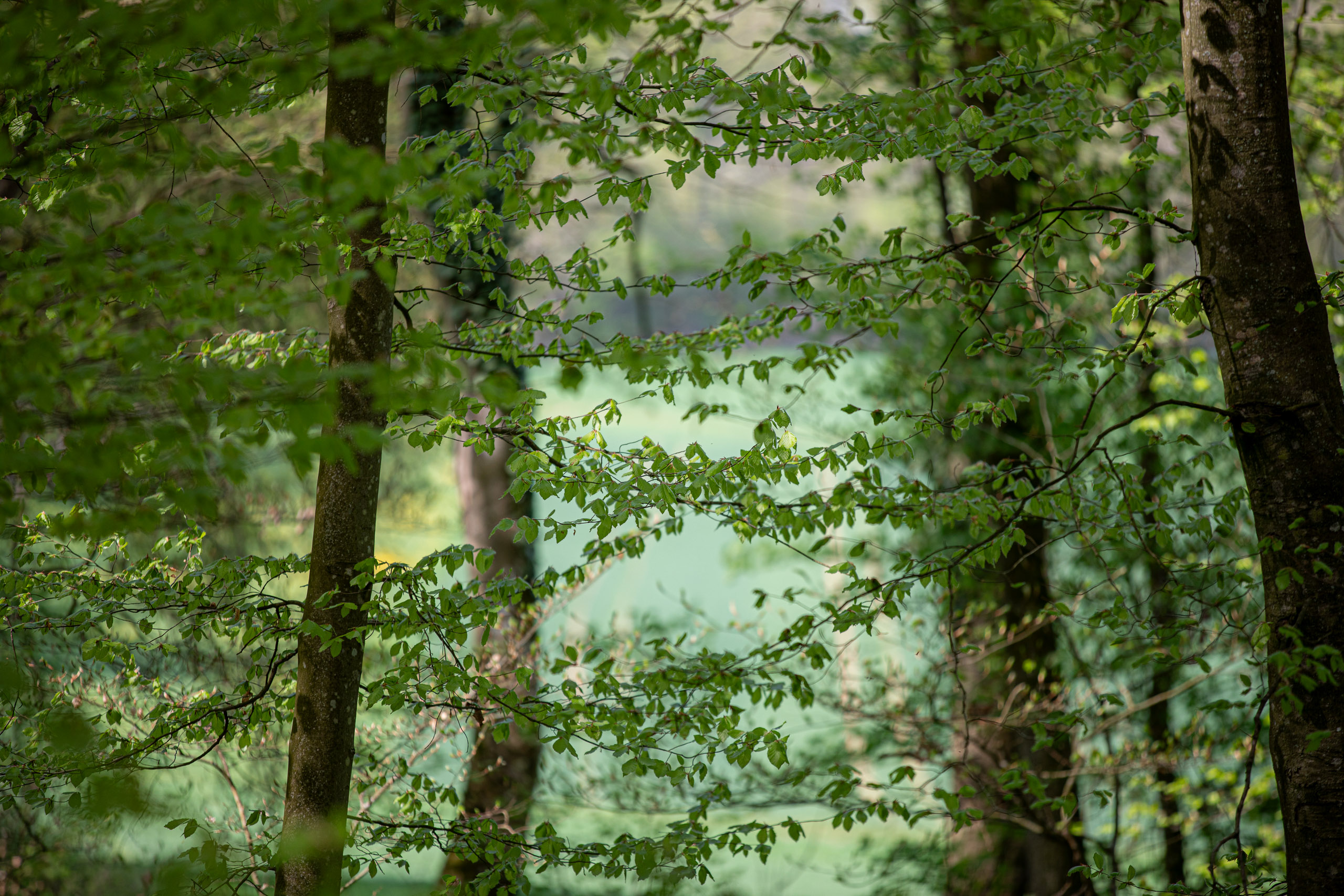 20260418 133708 RD4 9240