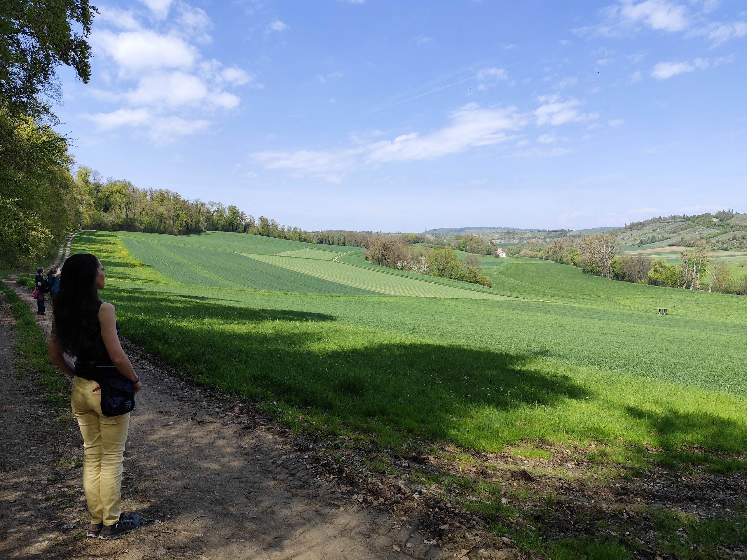 20260418 133854  010