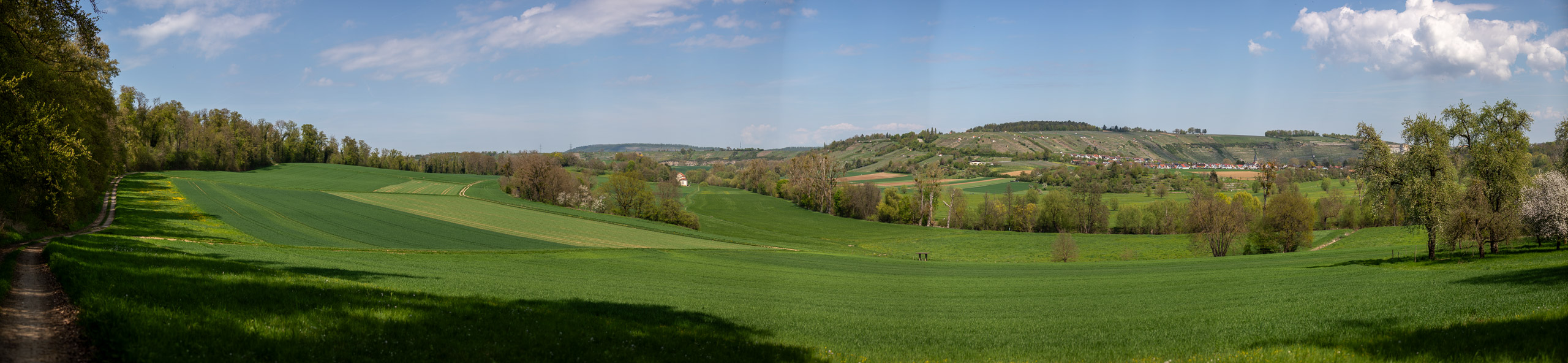 20260418 133906 RD4 9242 Pano