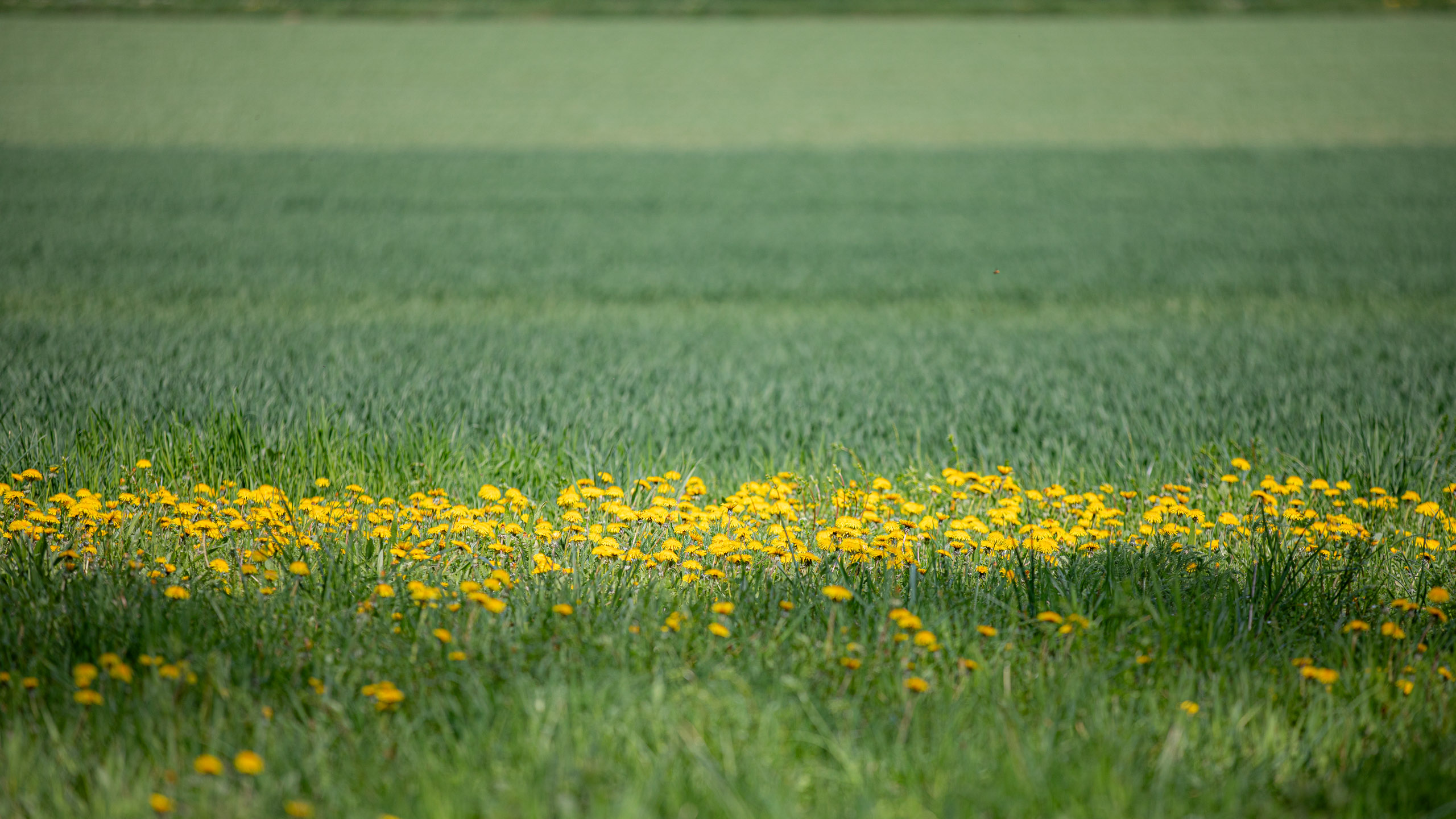 20260418 134152 RD4 9254