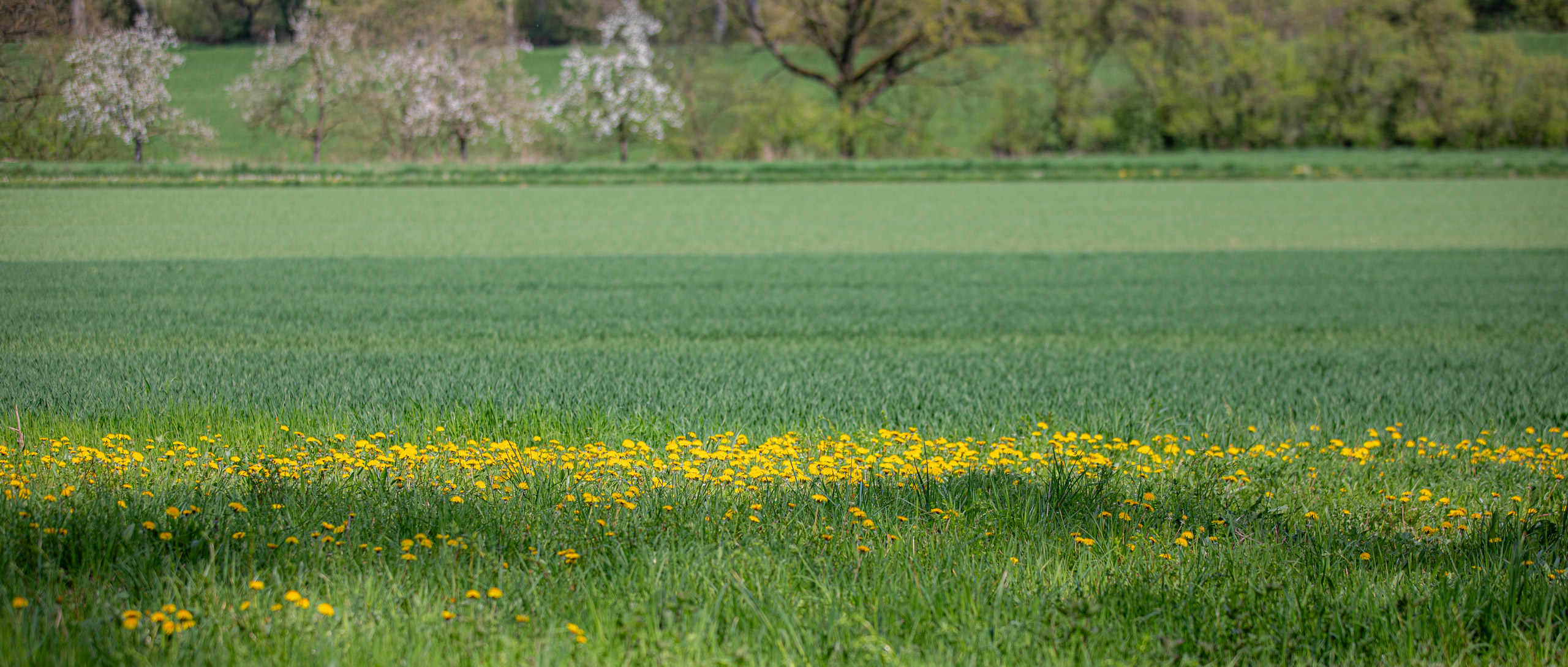 20260418 134158 RD4 9257