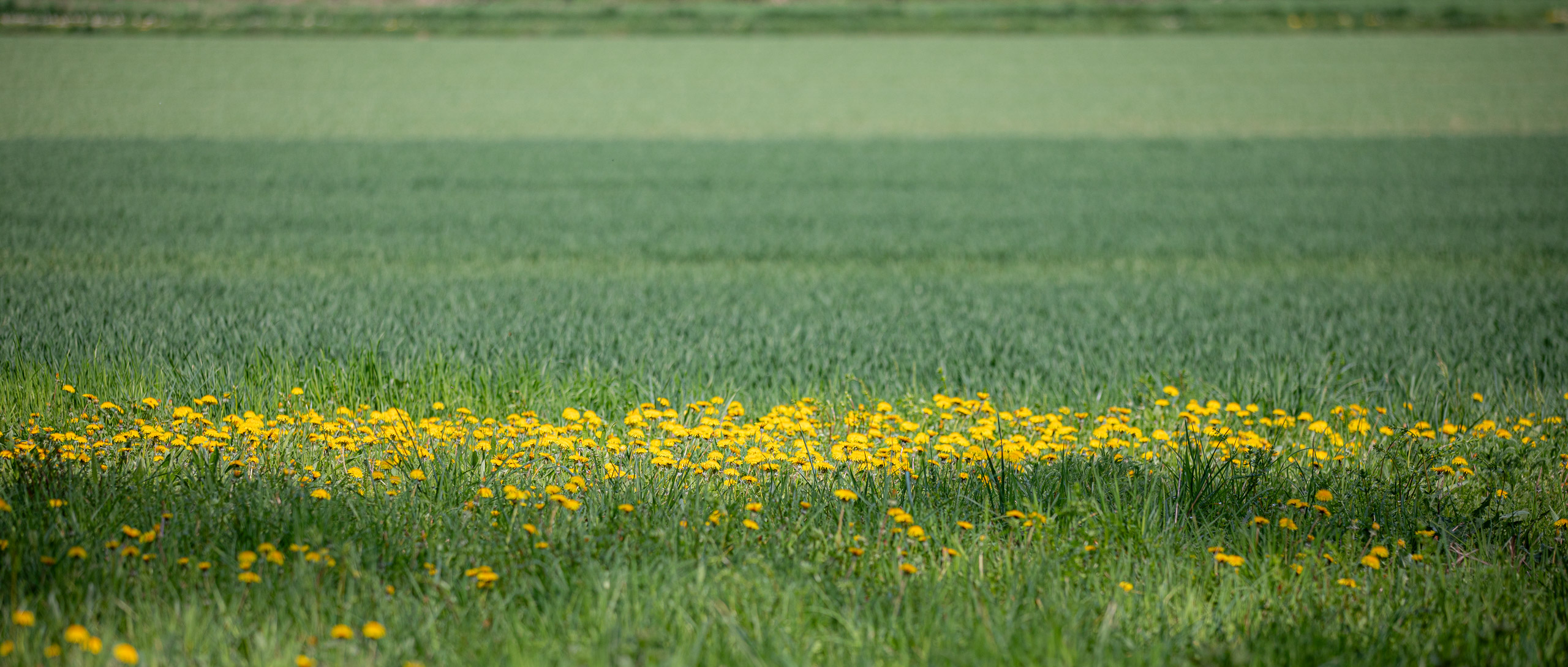 20260418 134200 RD4 9258