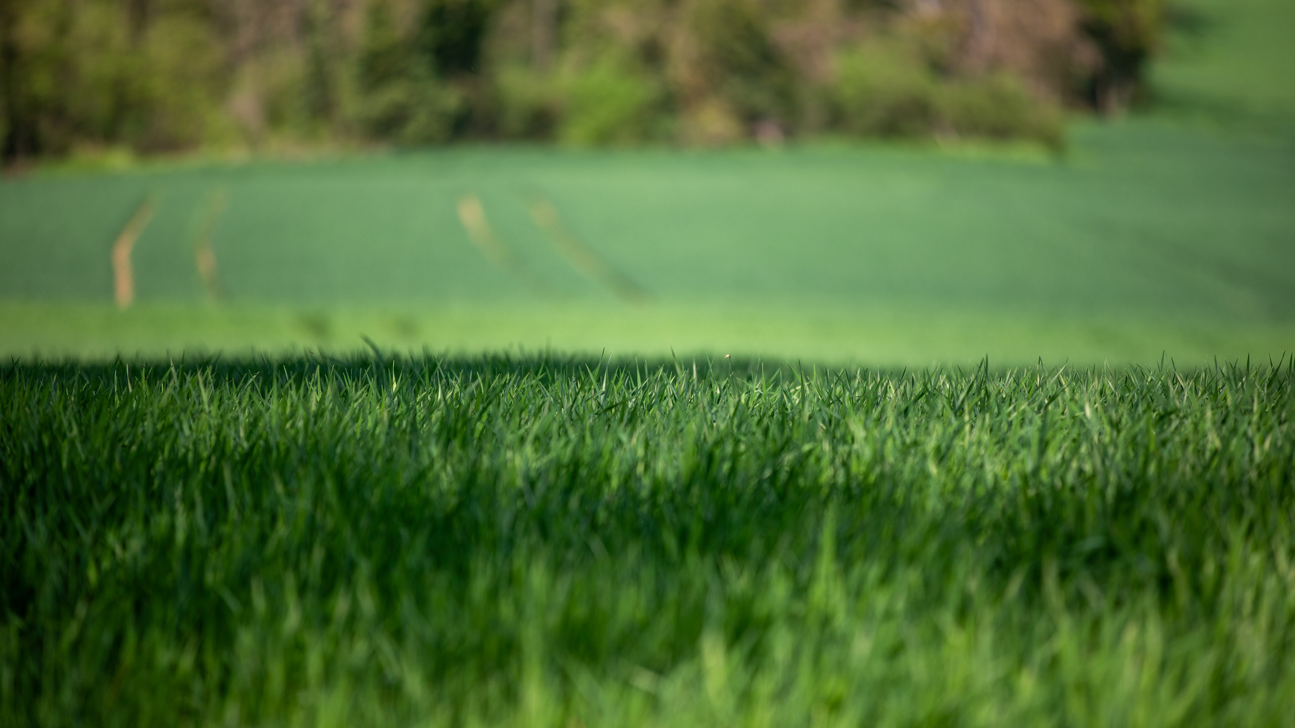 20260418 134712 RD4 9273