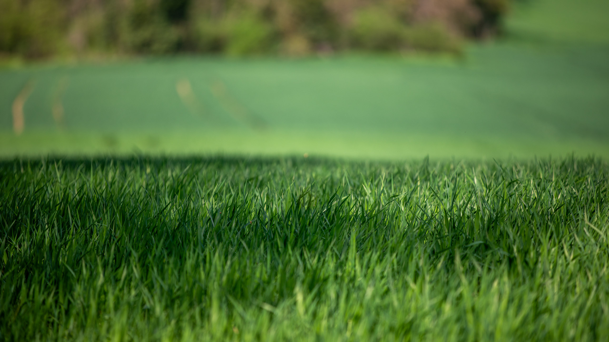 20260418 134714 RD4 9274