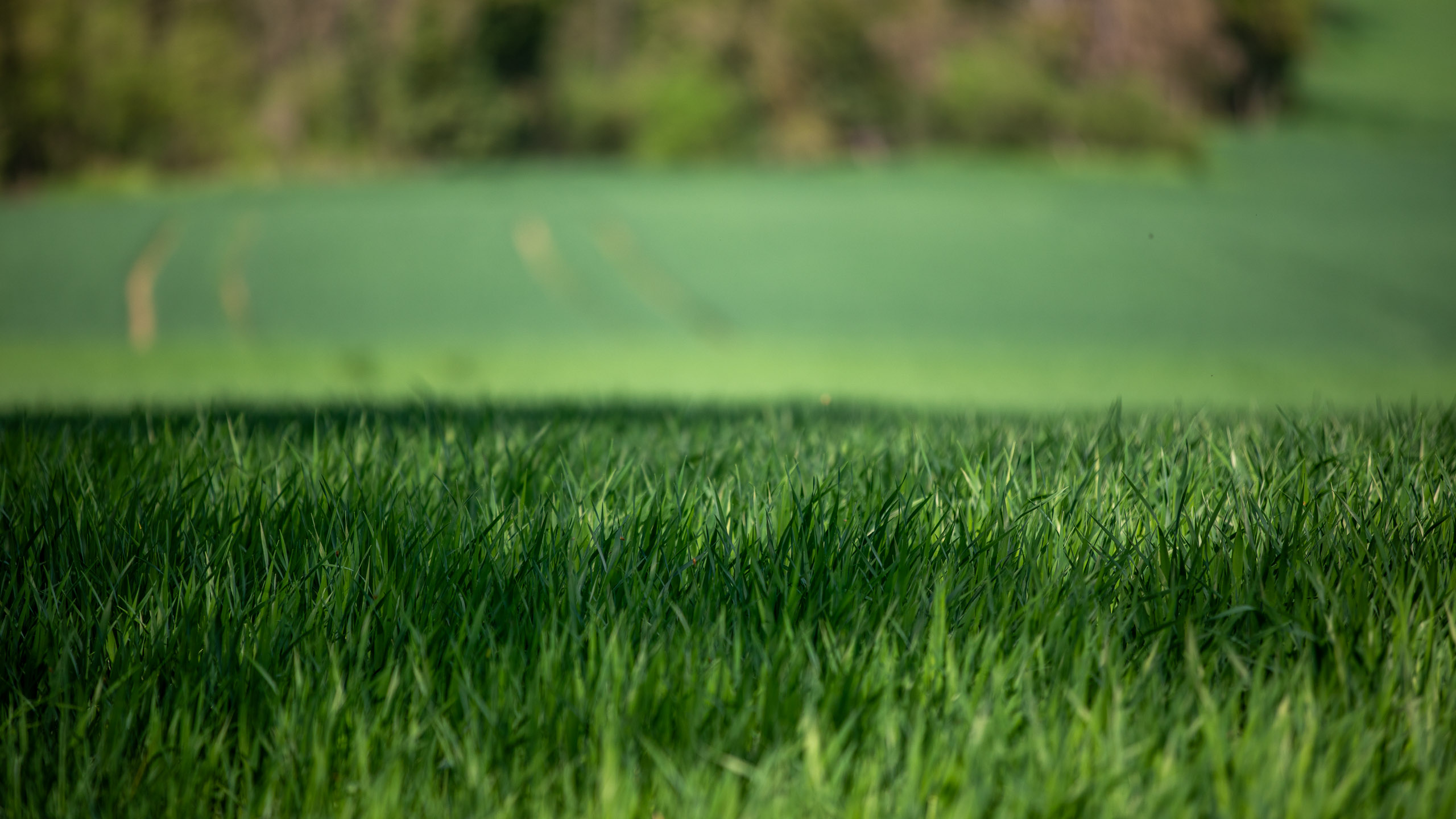 20260418 134714 RD4 9275