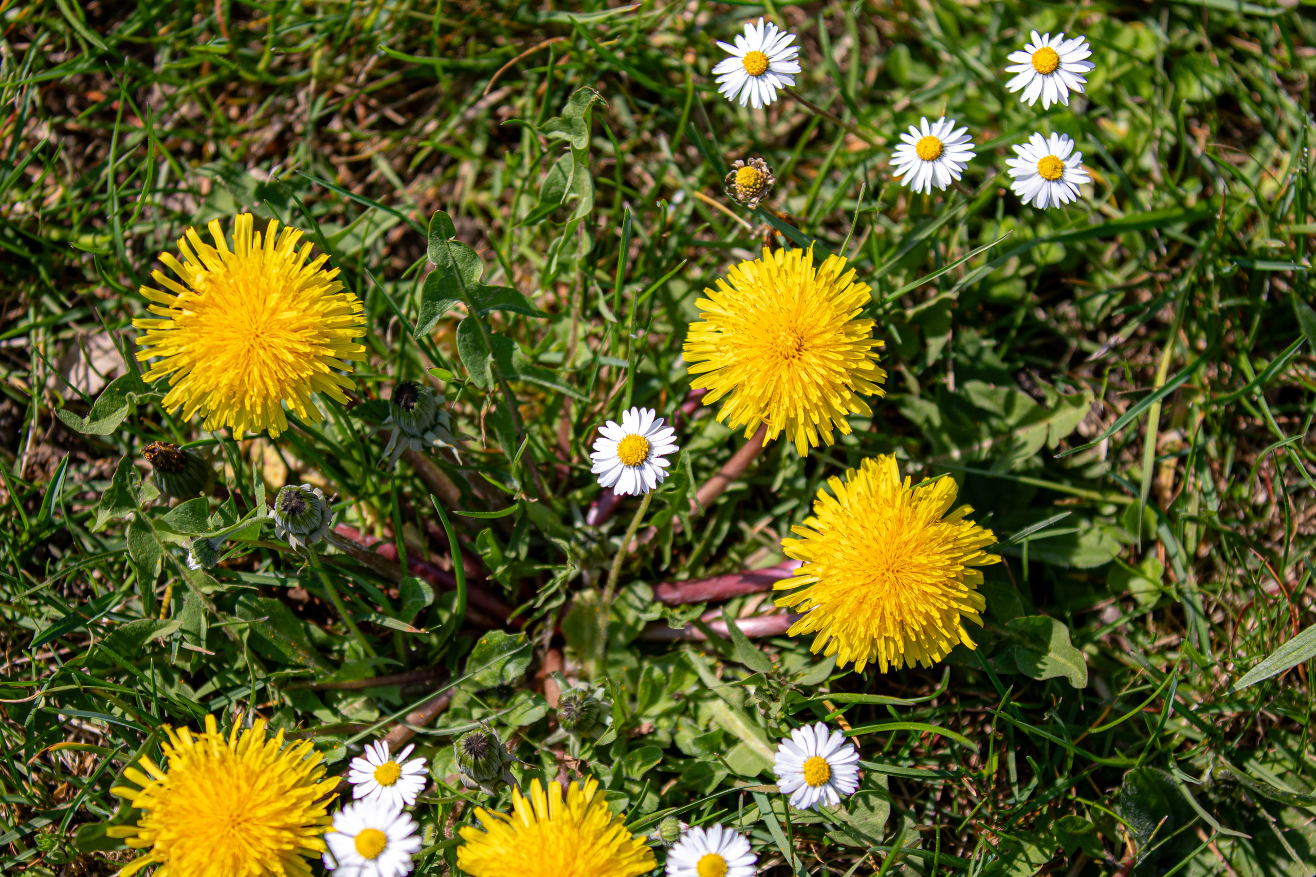 20260418 141020 RD4 9288