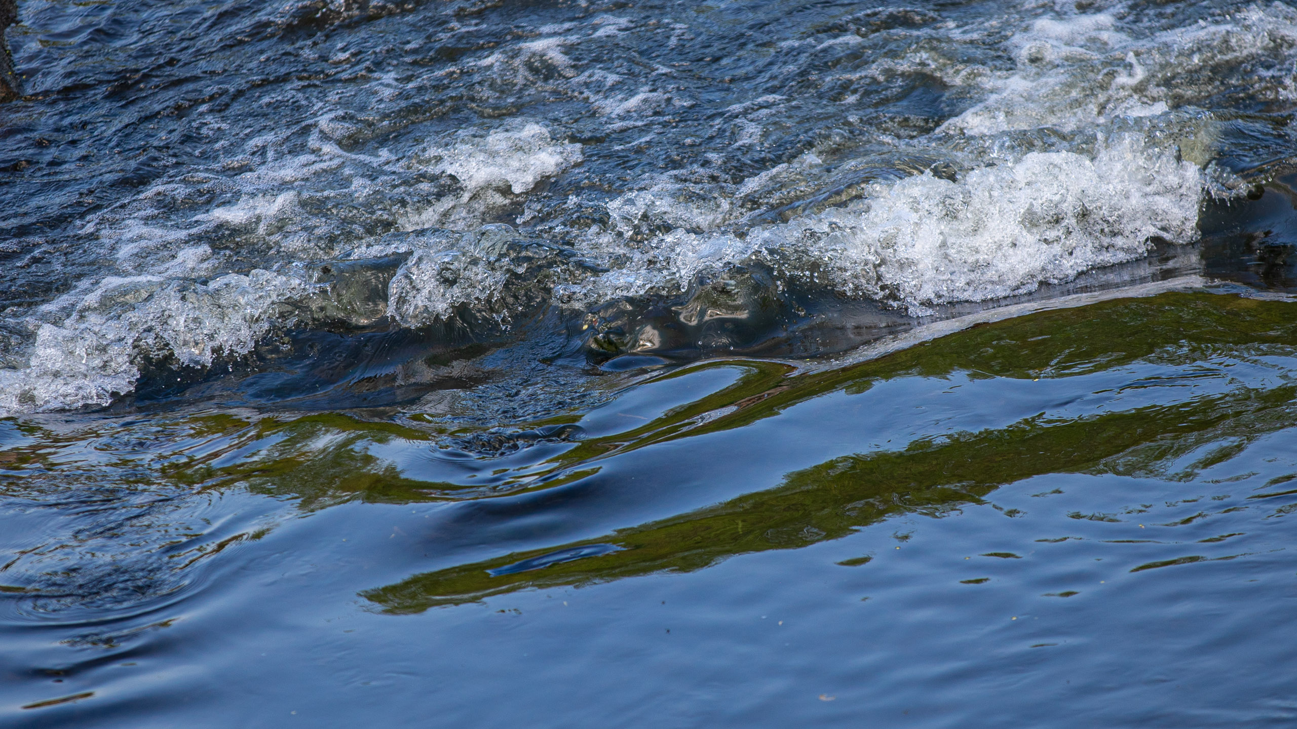 20260418 141924 RD4 9322