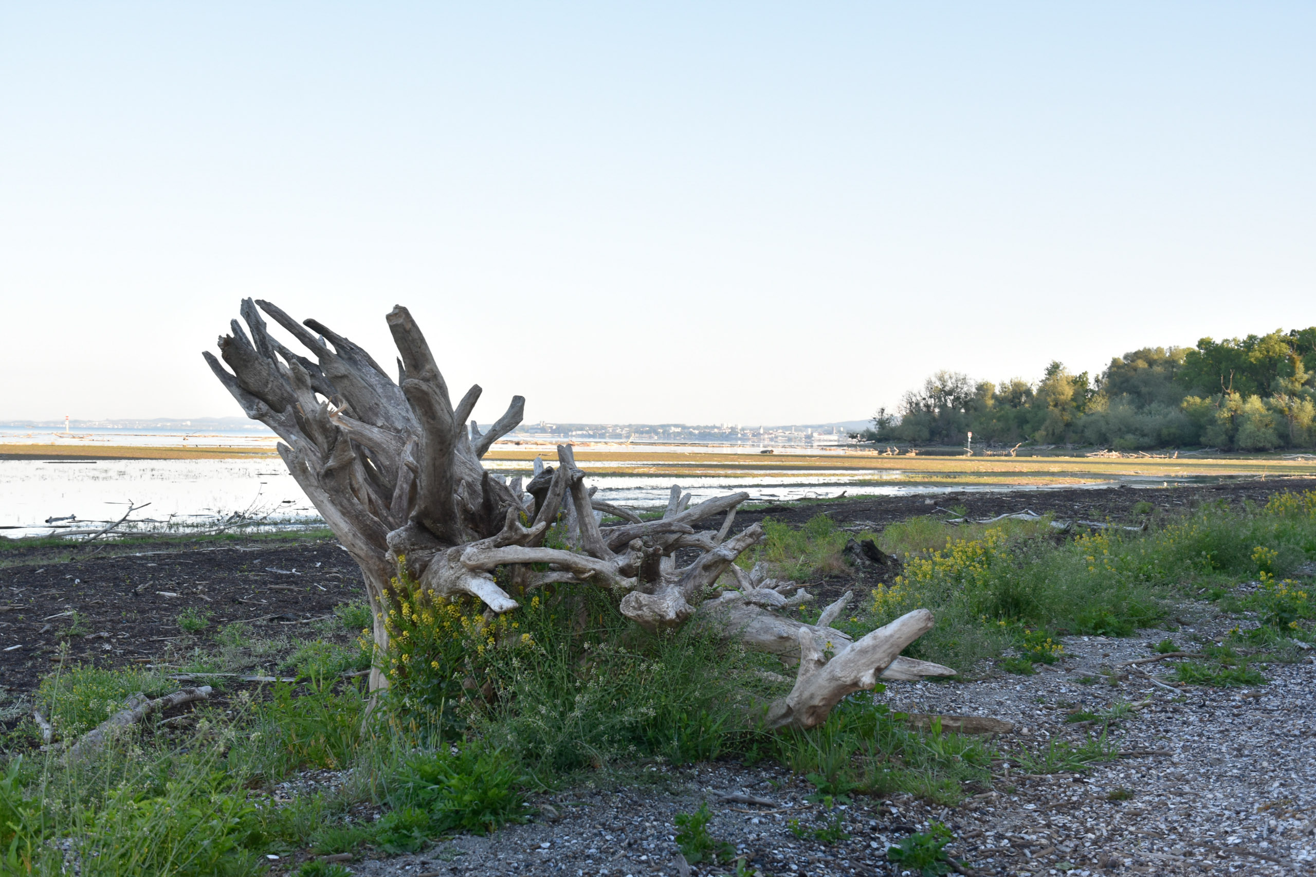 20250511065122 A240433