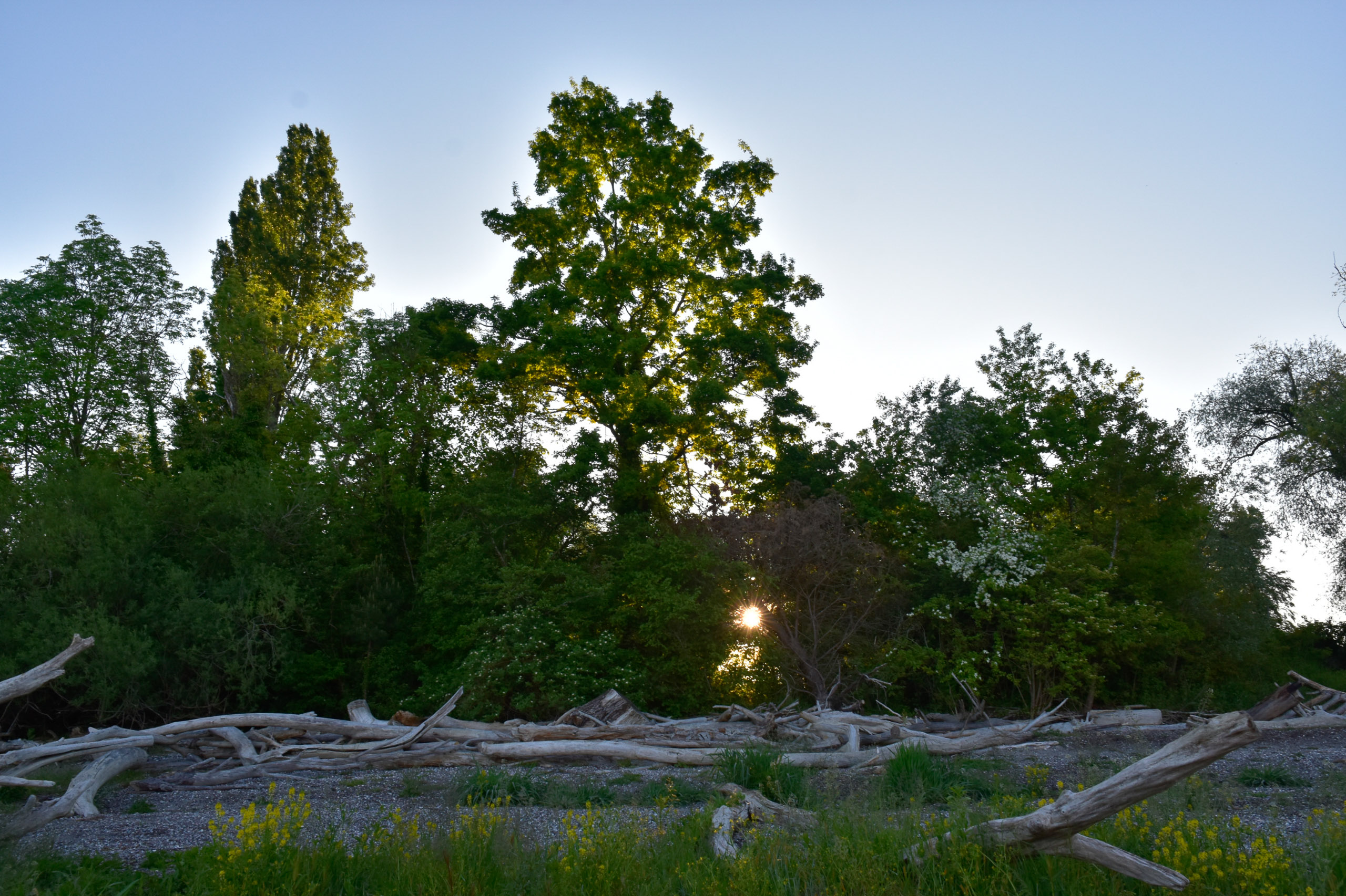 20250511065317 A240439