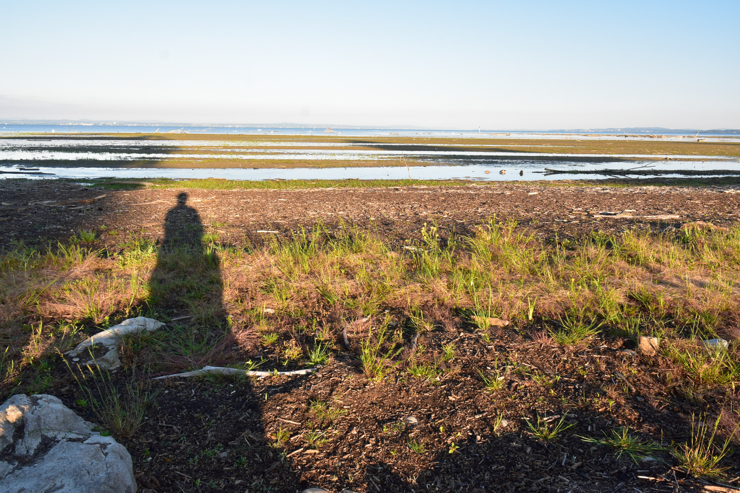 20250511065913 A240447