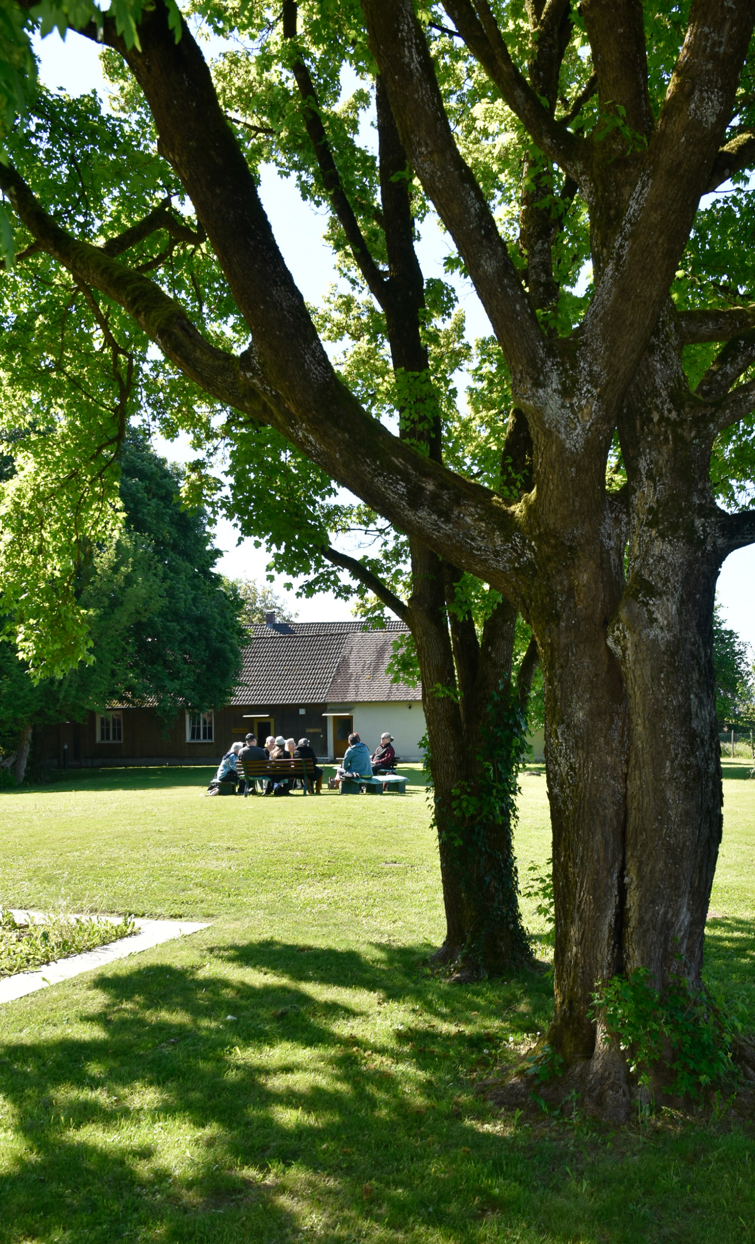 20250511101353 A240518