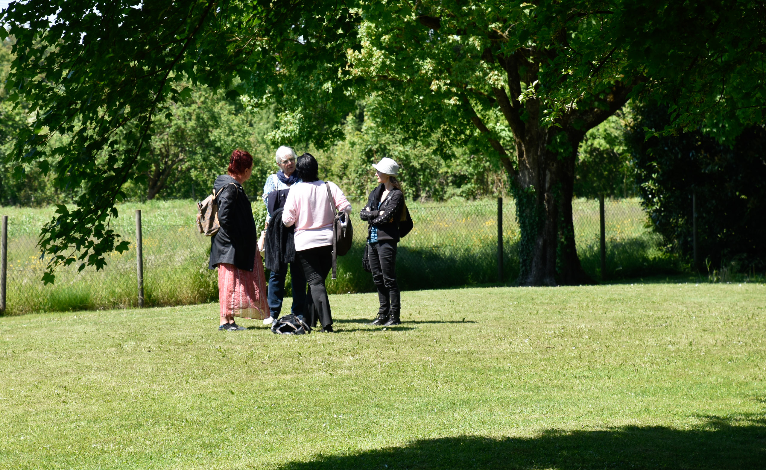 20250511141621 A240523